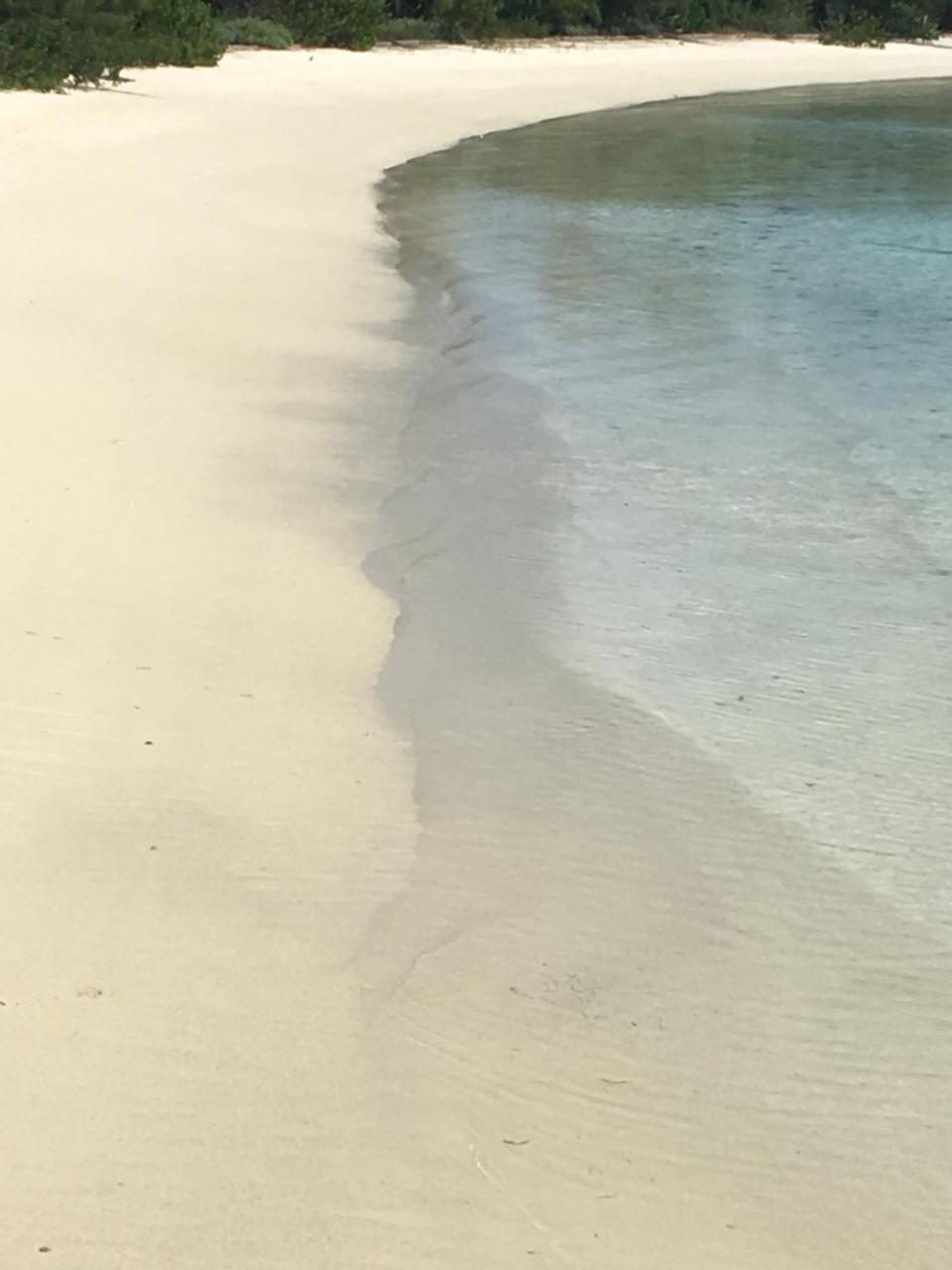 Upper Bogue Ocean Tally מראה חיצוני תמונה