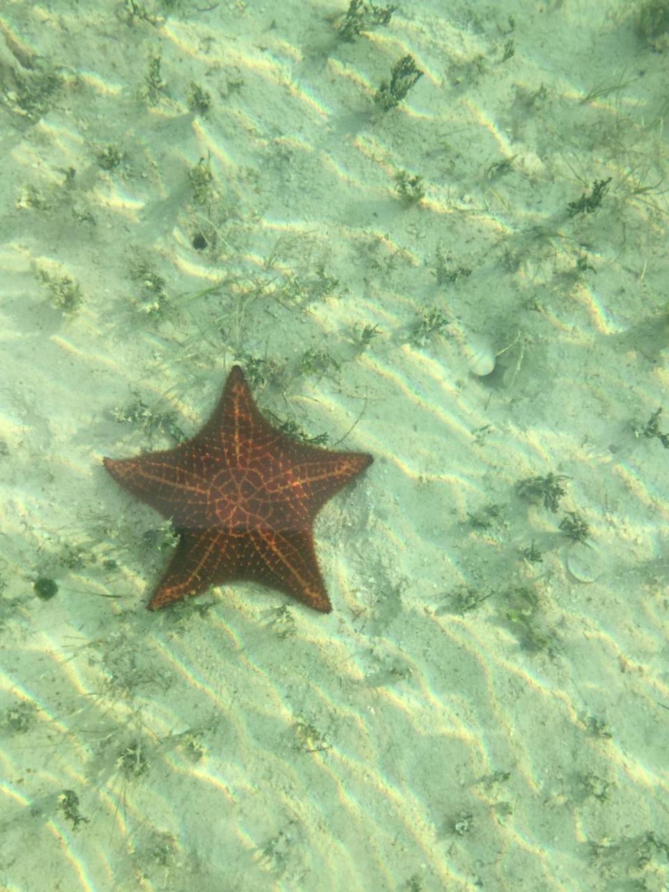 Upper Bogue Ocean Tally מראה חיצוני תמונה